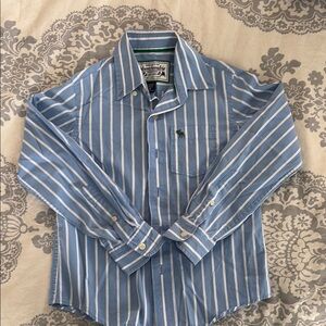 Abercrombie & Fitch Blue and White Vertical Stripe Button-Down Shirt